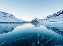 伟德Bevictor：从初心到共振的成长之旅